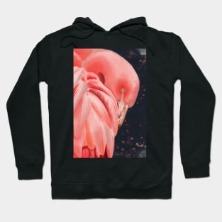 flamingo portrait Hoodie